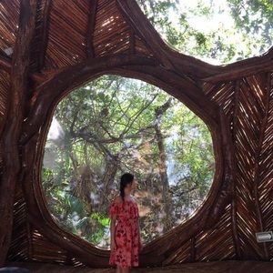 Meet your Posher, Susan